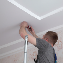 Créez une ambiance moderne avec un faux plafond fixe Macouria